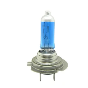 Halogen bulb with socket H7, 100W, 24V - White 5500K |
