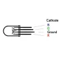 LED Diode 5mm clear, RGB, common cathode | AMPUL.eu