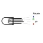LED Diode 5mm diffuse, RGB, common anode | AMPUL.eu