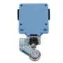 Limit switch CSA-012, arm with roller | AMPUL.eu